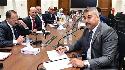 «النقل والمواصلات» تناقش استكمال محور دار السلام– جرجا وربطه بمطار سوهاج