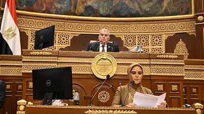 نائبة تستعرض تقريرًا بشان دراسة قياس الأثر التشريعي لقانون الشركات