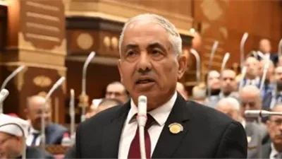 نائب: قانون الشركات مرعليه 44 عامًا ويجب تحديثه ليواكب التغيرات الاقتصادية