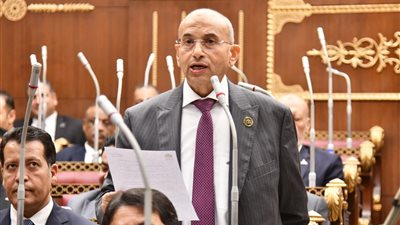 النائب أشرف عبد الغني يطالب بإنهاء 