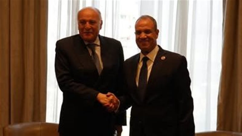 وزير الخارجية يلتقي