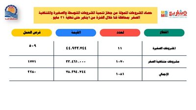  مليون جنيه لتمويل مشروعات صغيرة ومتناهية الصغر من يناير وحتى نهاية مايو بقنا