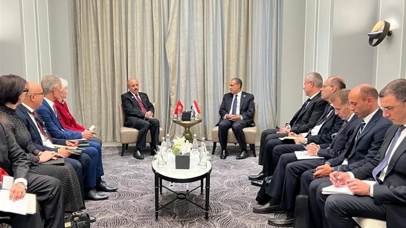 وفدي مصر وتونس