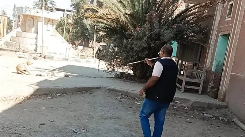 حملات تطعيم الكلاب