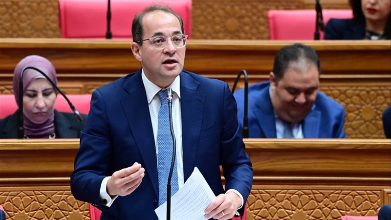 وزير المالية