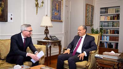 وزير الخارجية يبحث تعزيز التعاون مع 