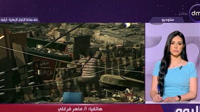 ماهر فرغلي: ثورة 30 يونيو نقطة تحول حافظت على ثوابت الدولة المصرية