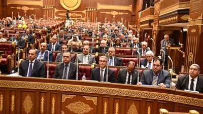 مجلس الشيوخ يناقش تحديات المشروعات الصغيرة والمتوسطة وآليات الدعم