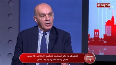 سلماوي: سعر الطاقة مرتبط بالسياسية.. وتطوير محطات الكهرباء وفر 27% من الوقود