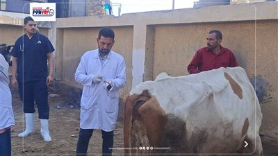 جامعة الفيوم: تنظم قافلة بيطرية بقرية مناشي الخطيب لخدمة الثروة الحيوانية