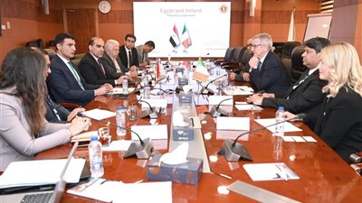 وزير الصناعة يبحث مع سفير أيرلندا تعزيز الشراكة الاستثمارية