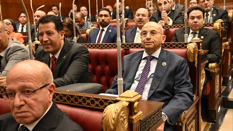 النائب أشرف عبد الغني