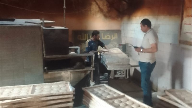 جانب من الحملات 