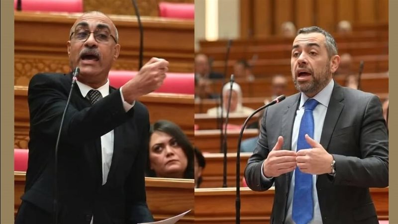النائبان إيهاب منصور ومحمد فؤاد