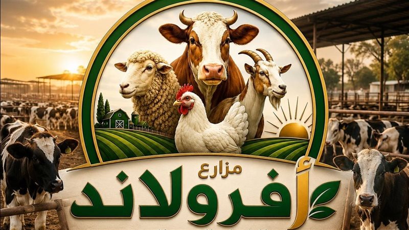 أفرولاند 