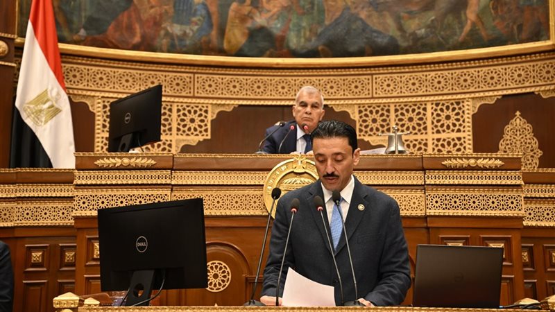  النائب محمد رزق