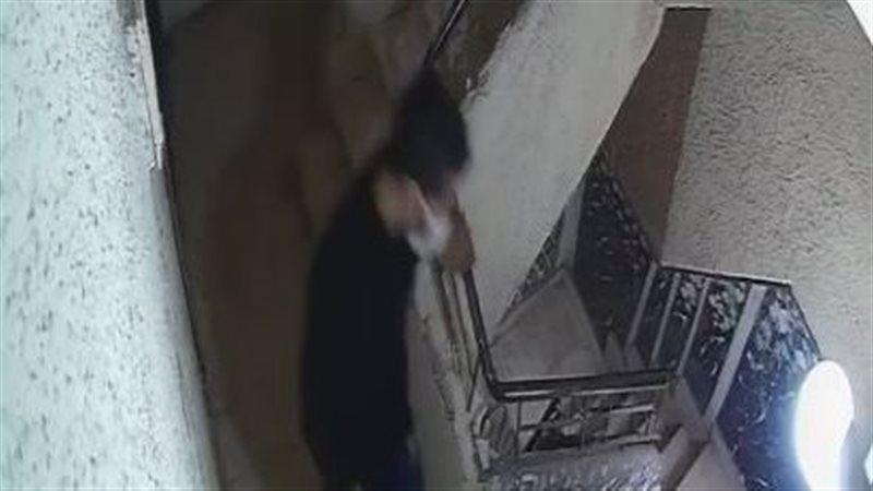 بلطجي 