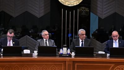 وزير التخطيط: الاقتصاد المصري يسجل نمواً بنسبة 5% في الربع الثالث