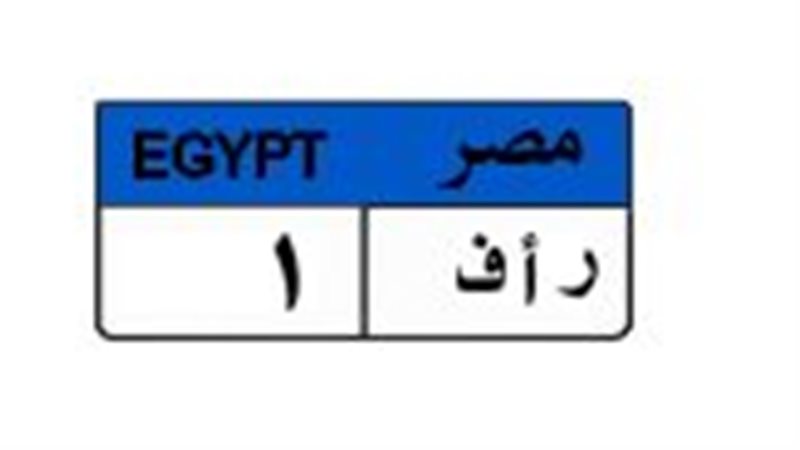 لوحة  مميزة 