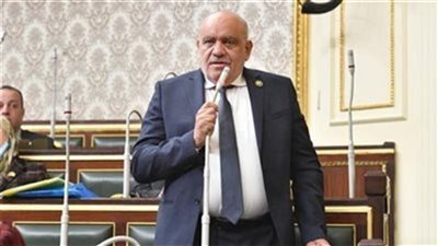 تحرك برلماني لمواجهة مشكلات مرضى التأمين الصحي وإنهاء معاناتهم اليومية