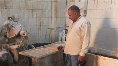  تحرير ٢٢ محضرا لمخابز دراجيل وساحل الجوابر وزاوية الناعورة بالمنوفية
