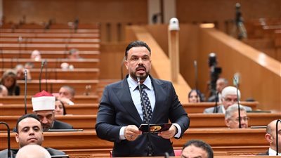 رئيس شباب النواب عن  احداث الفان زون : الوطن ليس فندقاً نقيم فيه