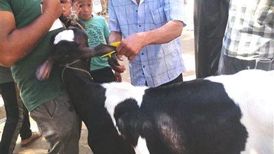 ضمن مبادرة 