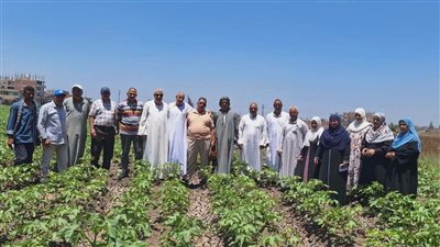 زراعة الشرقية: حملات مكثفة لحصر محلات المبيدات لمكافحة دودة الحشد الخريفية