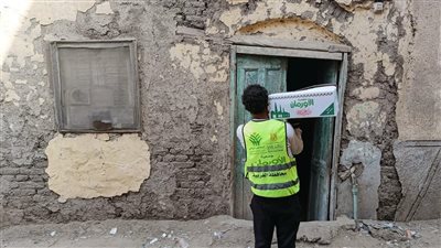 250 كرتونة مواد غذائية من الأورمان للأسر الأولى بالرعاية بالمحلة