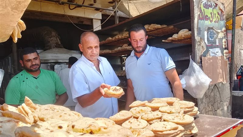 تموين القليوبية تشن