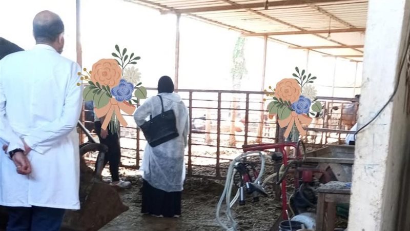 جانب من الحدث