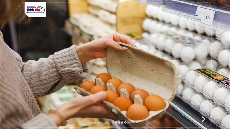 سعر كرتونة البيض