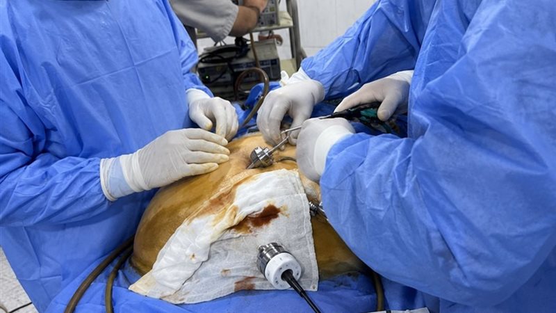 العمليات