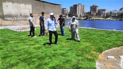 محافظ الدقهلية يتابع أعمال إنشاء حدائق جديدة بمدينة طلخا