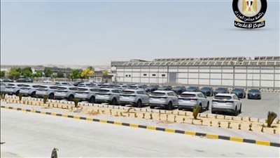 تطوير شركة 