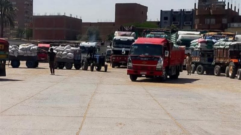توريد القمح بسوهاج