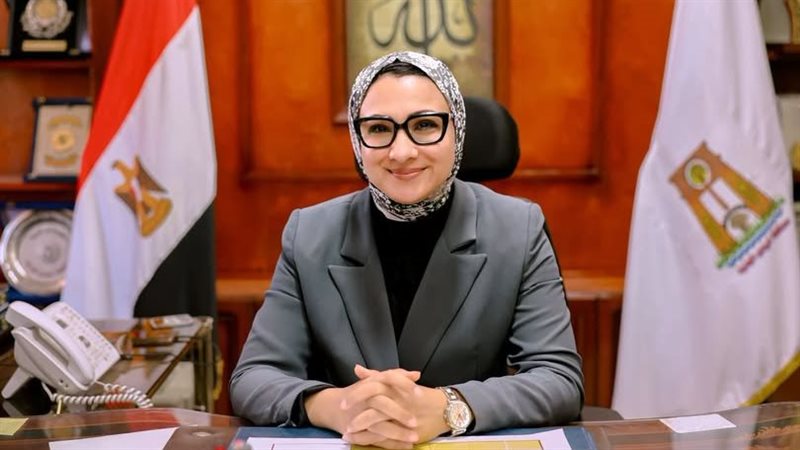 محافظ الوادي الجديد
