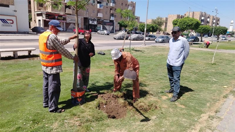 تزيين الجزر الوسطى