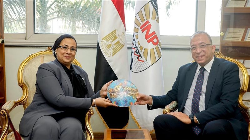 أشرف العربي والمستشارة