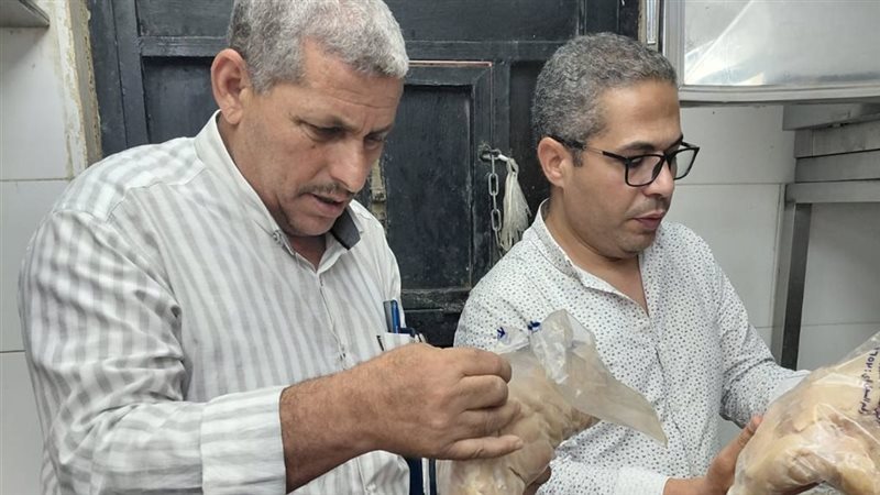 الحملات