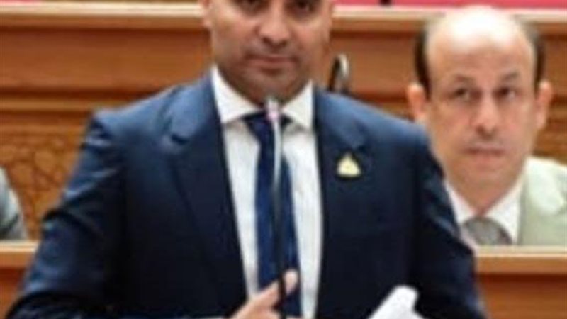  النائب محمد صبحي