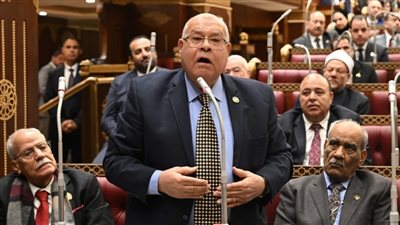 ناجي الشهابي: الحلول الموسمية لن تنهي أزمة الكلاب الضالة ونحتاج خطة شاملة |خاص