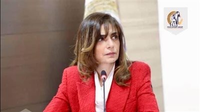 إعادة انتخاب ندى دراز للجنة أممية.. إنجاز جديد للمرأة المصرية دوليًا