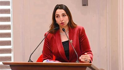 طلب إحاطة بشأن تضرر 250 موظفًا بشركة النيل للمجمعات الاستهلاكية