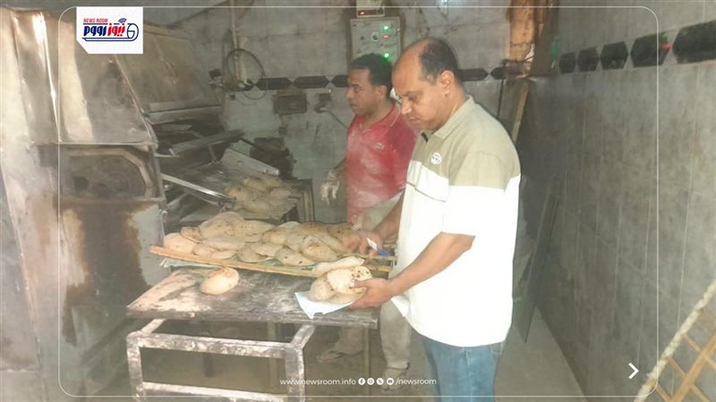 حملات تفتيشية بالمنيا