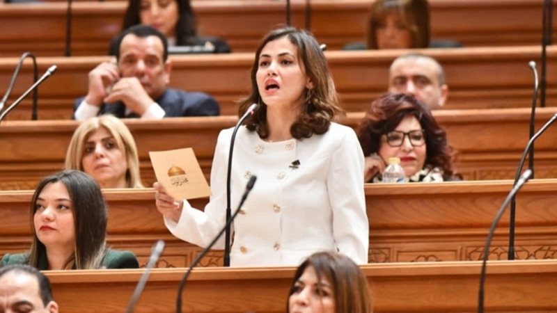 النائبة نيفين أسكندر