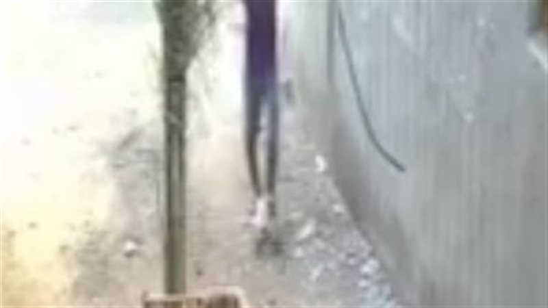 التعدي على قطة