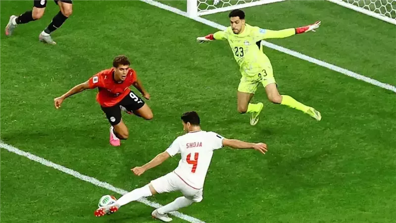 مصطفى شوبير