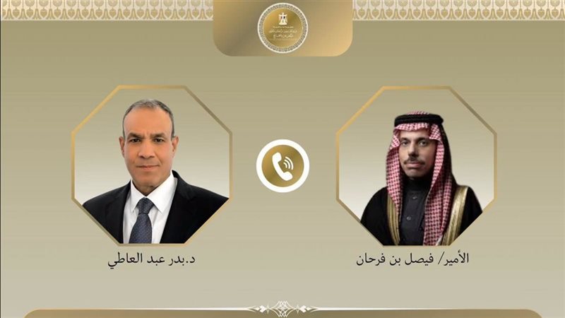 وزيرا خارجية مصر