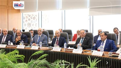 رئيس جامعة المنيا يشارك في اجتماع المجلس الأعلى للجامعات لمناقشة سبل التطوير